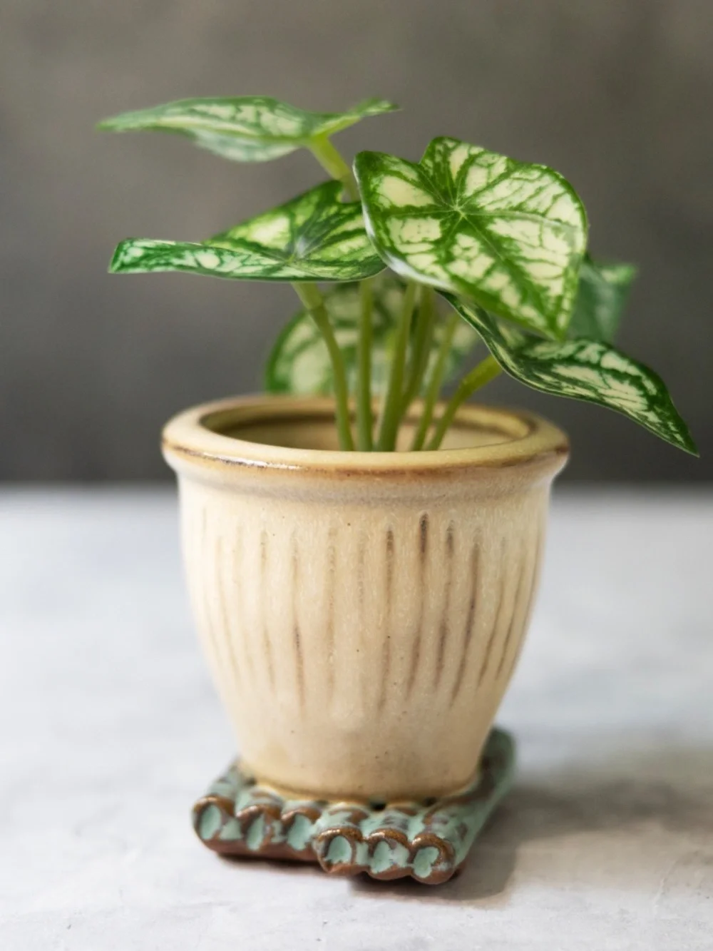 Asian ceramic planter with faux bamboo base 3.5